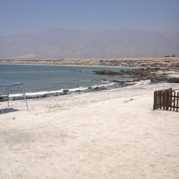 Hotel Alto Antofagasta Eksteriør bilde